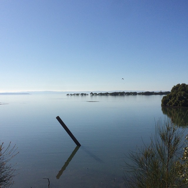 Perfect morning to a perfect day on Stradbroke Island #365 #straddie #familyday #birthday #nofilter