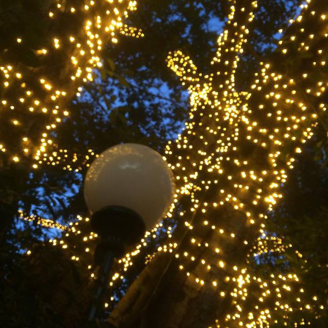 It's like Christmas! #lights #reflections #365