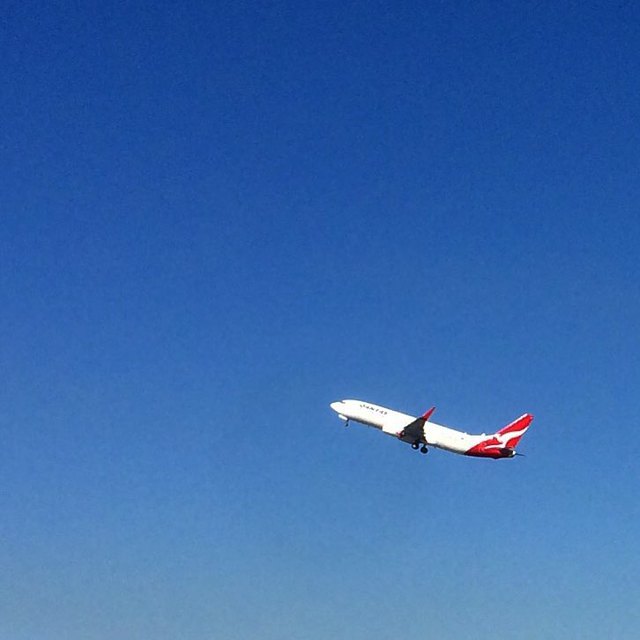 Blue skies and aeroplanes. #365 #aeroplanes #bne #airport