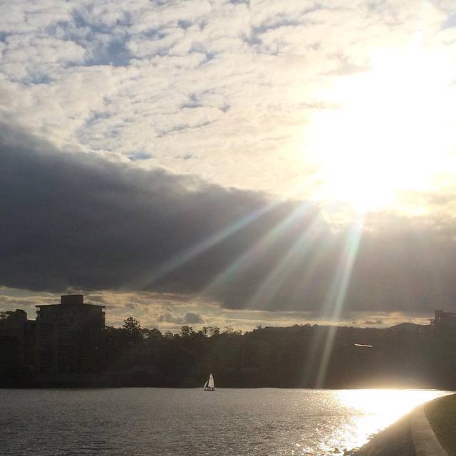 Sailboats on the Brisbane River #sailboat #sunshine #brisbaneanyday #sailing #365