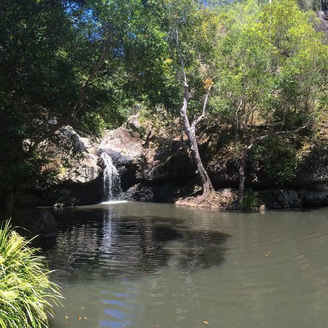 Refreshing waterhole for a dip #nature #waterfall #rocks #kondalillafalls #365