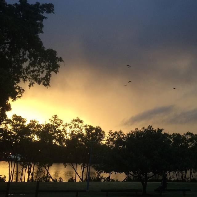 Fleeing the storm 
#bnestorm #storm #flight #nofilter #365