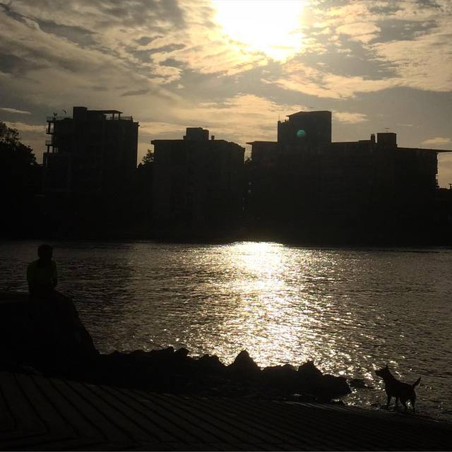 A man and his dog
#silhouette #mansbestfriend #brisbaneanyday #365