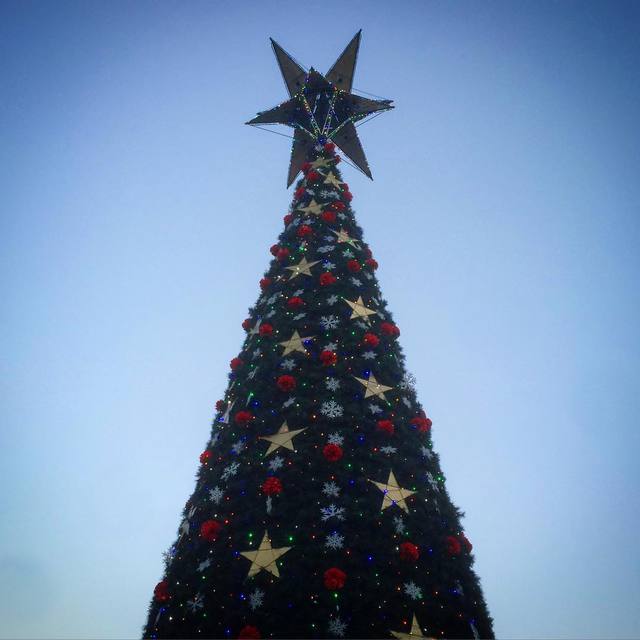 #christmastime #christmastree #thisisbriabane #365