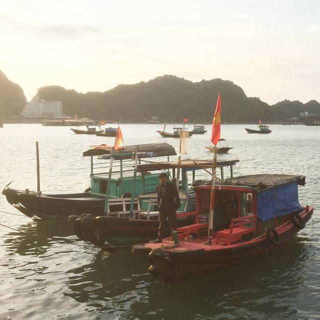 Morning sun lights the boats in the bay
#catbaisland #halongbay #365