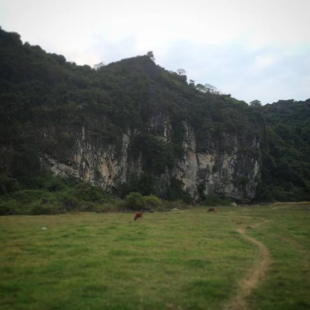 Butterfly Valley - my hangout for the next week or so. #climbingvietnam #butterflyvalley #halongbay #catbaisland #365