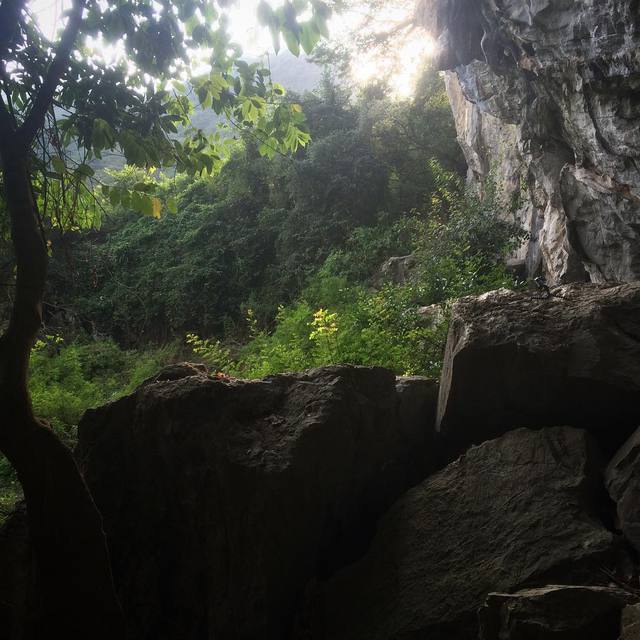Green amongst the rocks #butterflyvalley #catbaisland #climbingvietnam #365