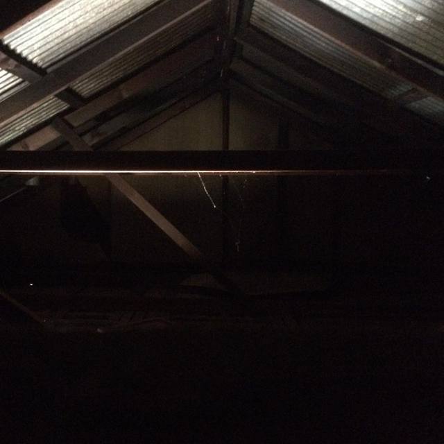 Lit from below
#ceiling #spiderwebs #dusty #ceilingcavity #litfrombelow #365