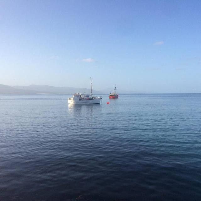 Boats at rest
#lowsun #boats #water #bluesky #nofilter #fishandchipsatthegulch #thegulch #bicheno #365