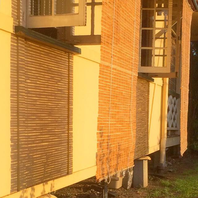 #goldenhour #shadows #longshadow #sun #windows #queenslander #windowshades #365