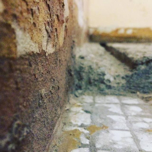 Stripping it back.
#concrete #tile #peelingpaint #mosaics #renovation #whydidtheyputaconcretebaseinthewardrobe! #365