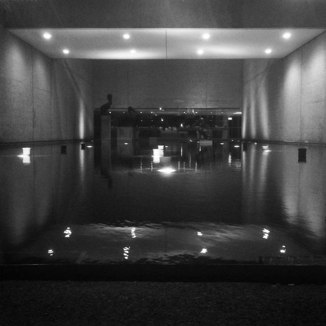 #blackandwhite #reflections #symmetry #pond #365