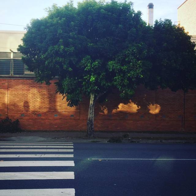 Road sign reflector casts some interesting shadows
#treeshadow #urban #pedestriancrossing #reflector #365