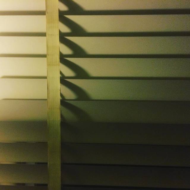 Gradient
#lightandshadow #venetians #365