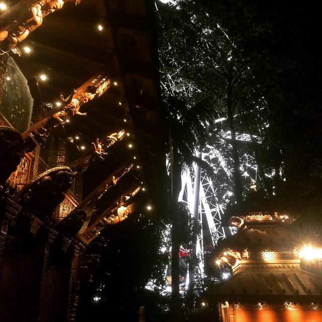 Different lights for different times. Golden light of the Nepalese Peace Pagoda in the foreground with the crisp white of the Wheel of Brisbane in the background.
#365