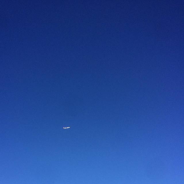 Crisp blue
#bluesky #plane #blue #scratchedlens #365