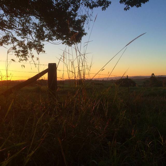Roadside sunset
#365
.
.
#gradientsky #fencepost #grass #thisisaustralia #goldenhour #autumndays
