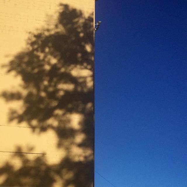 Tree Shadows
#shadows #yellow #bluesky #contrast #365
