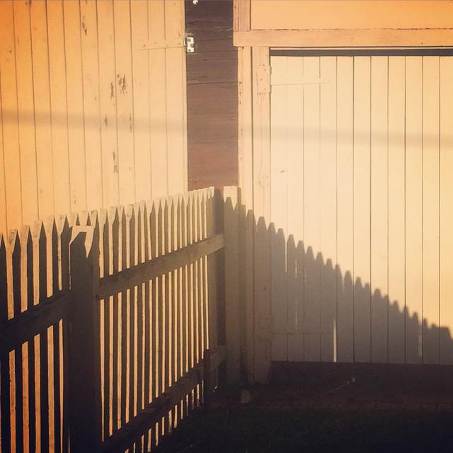 Shadow from a picket fence.
#365
.
.
#picketfence #lowsun #barndoor #shadows