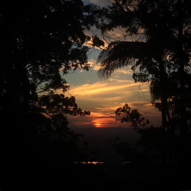 #throughthetrees #sunset #clouds #sun #autumnsun #365