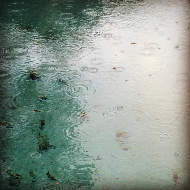Winter rains
#raindrops #leavesinthepool #water #ripples #reflection #rain #365
