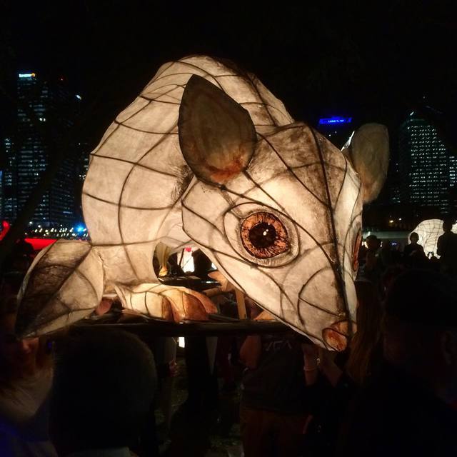 A possum - one of the lanterns at the luminous lantern parade
#luminouslanternparade #possum #mda #qpasst #refugee #realaustralianssaywelcome #365