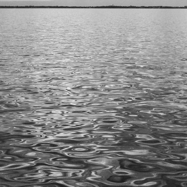 Quiet day on the bay.
#ripples #water #blackandwhite #moretonbay #lightplays #365
