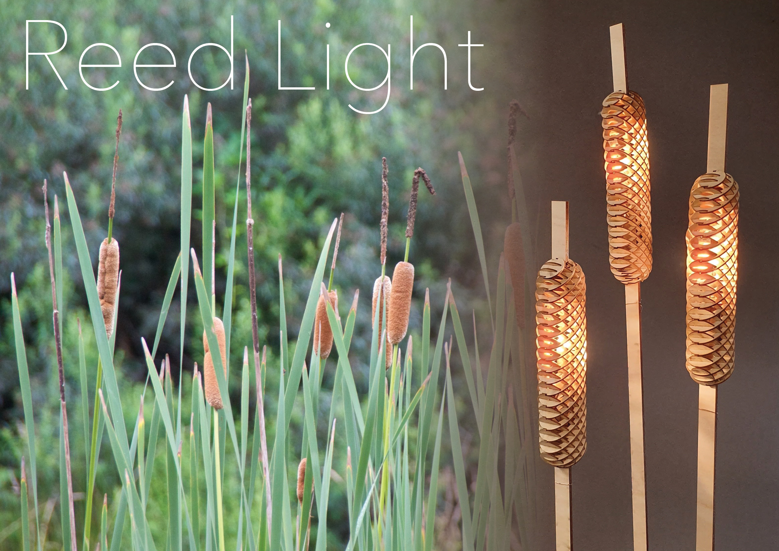 Cattail solar lights shop costco